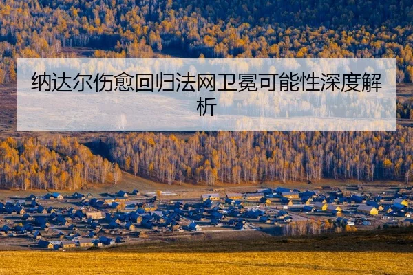 na-da-er-shang-yu-hui-gui-fa-wang-wei-mian-ke-neng-xing-shen-du-jie-xi-2-378.jpg